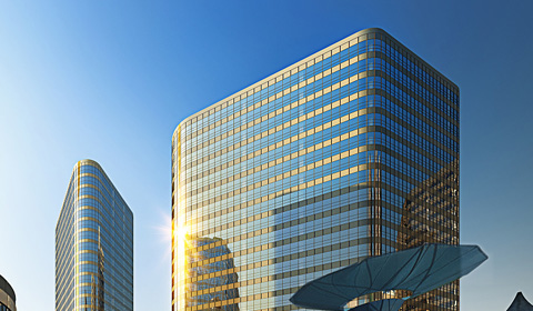 Corporate vision